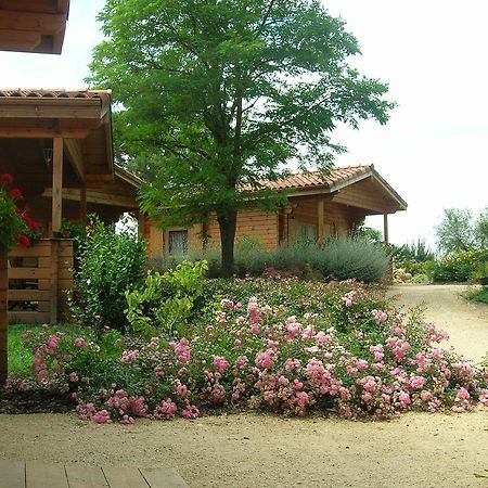 Auberge Du Flambadou Villematier ภายนอก รูปภาพ